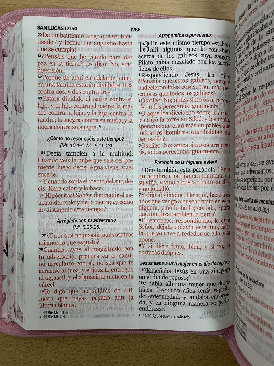 Biblia letra gigante puntos reina