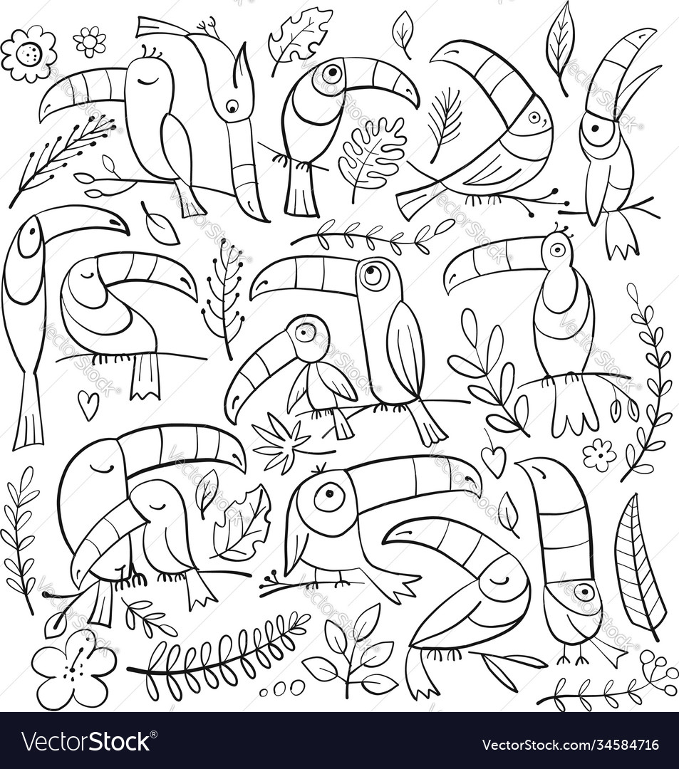 Toucans paradise tropical bird coloring page vector image