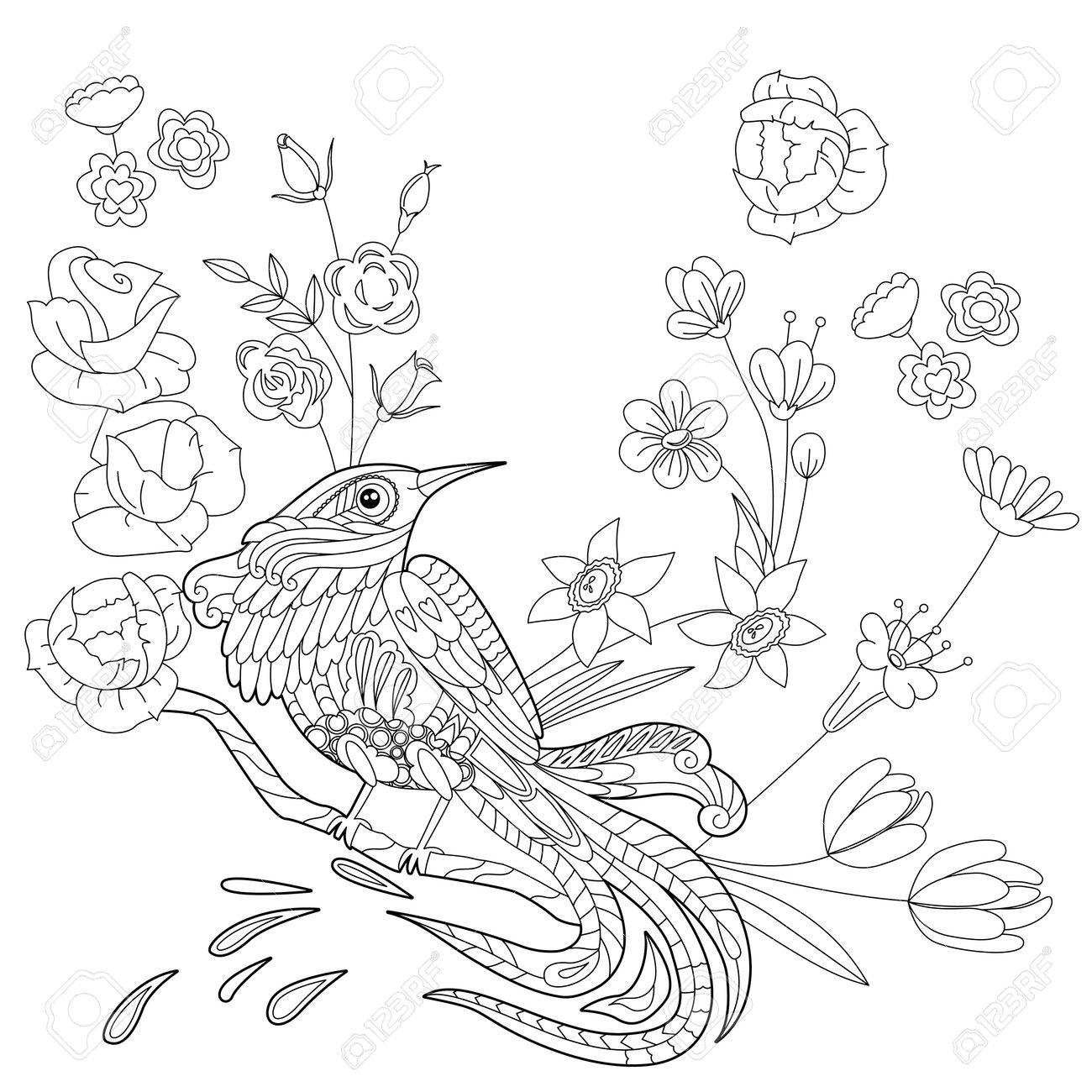 Contour linear illustration for coloring book with paradise bird in flowers tropic bird anti stress picture line art design for adult or kids in zen