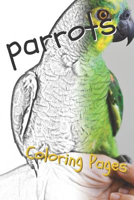 Parrot coloring pages beautiful parrots drawings for kids and for adults relaxation paperback mrs dalloways literary and garden arts