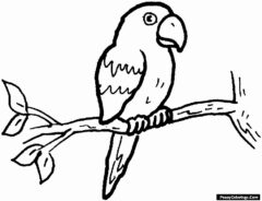 Parakeet coloring pages printable