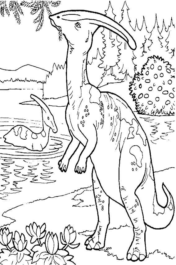 Online coloring pages parasaurolophus coloring page parasaurolophus dinosaur