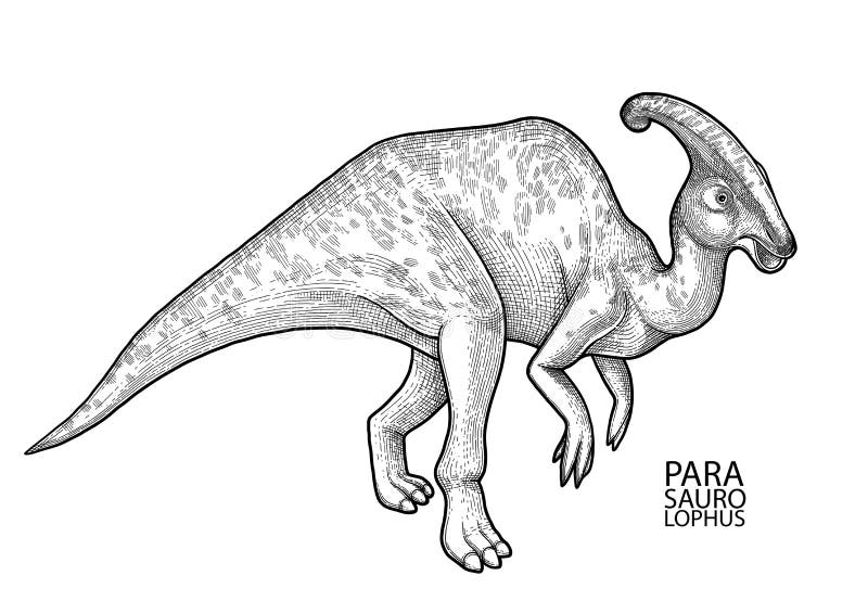 Graphic parasaurolophus stock illustrations â graphic parasaurolophus stock illustrations vectors clipart