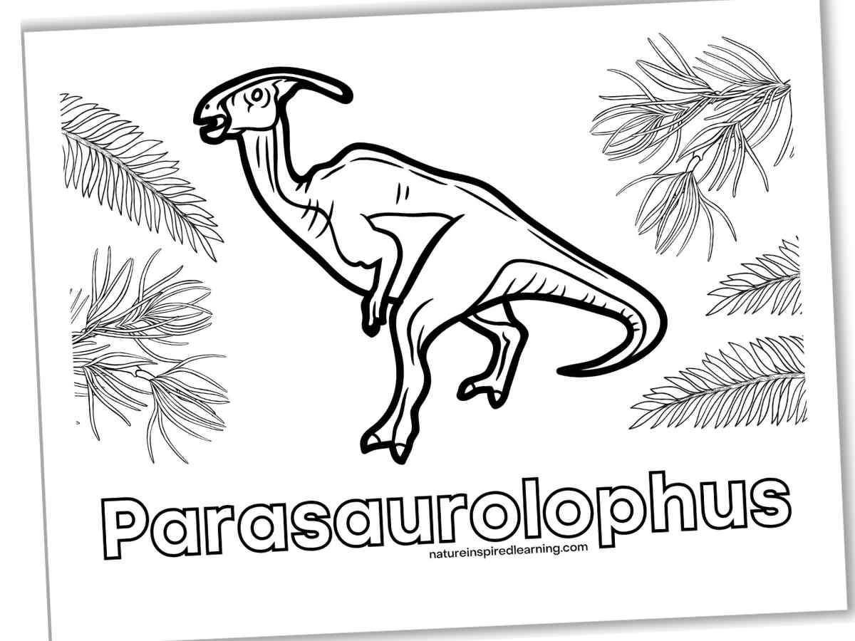 Dinosaur coloring pages