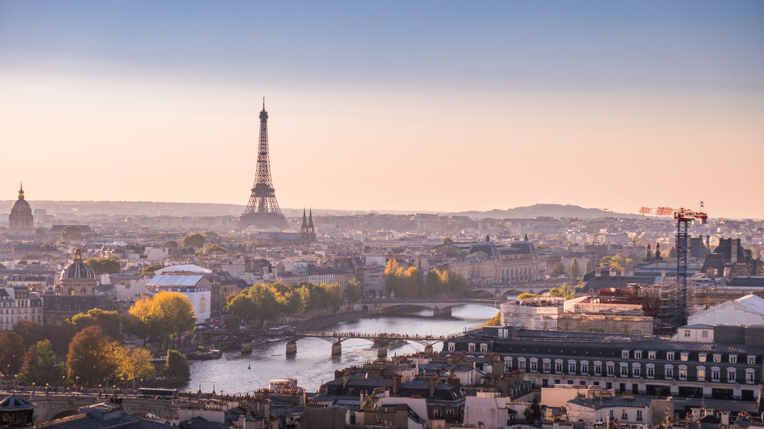 Какой год в париже. «Крыши Парижа». Париж вид с крыши. Виды пар. Вид на Эйфелеву башню с крыши.