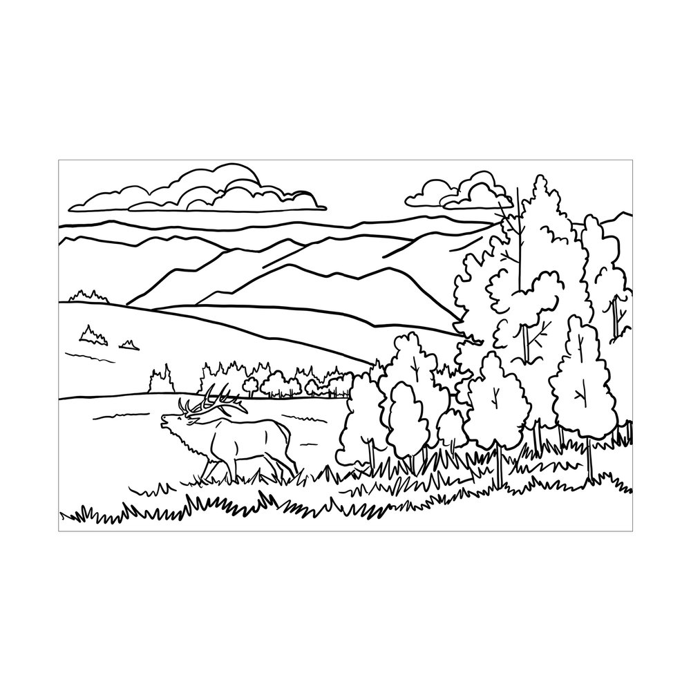 Yellowstone national park coloring book digital version â corvidae drawings designs