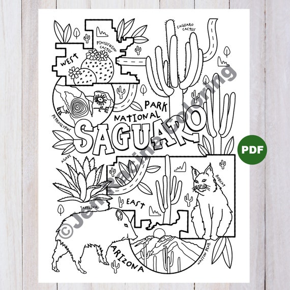 Saguaro national park coloring page