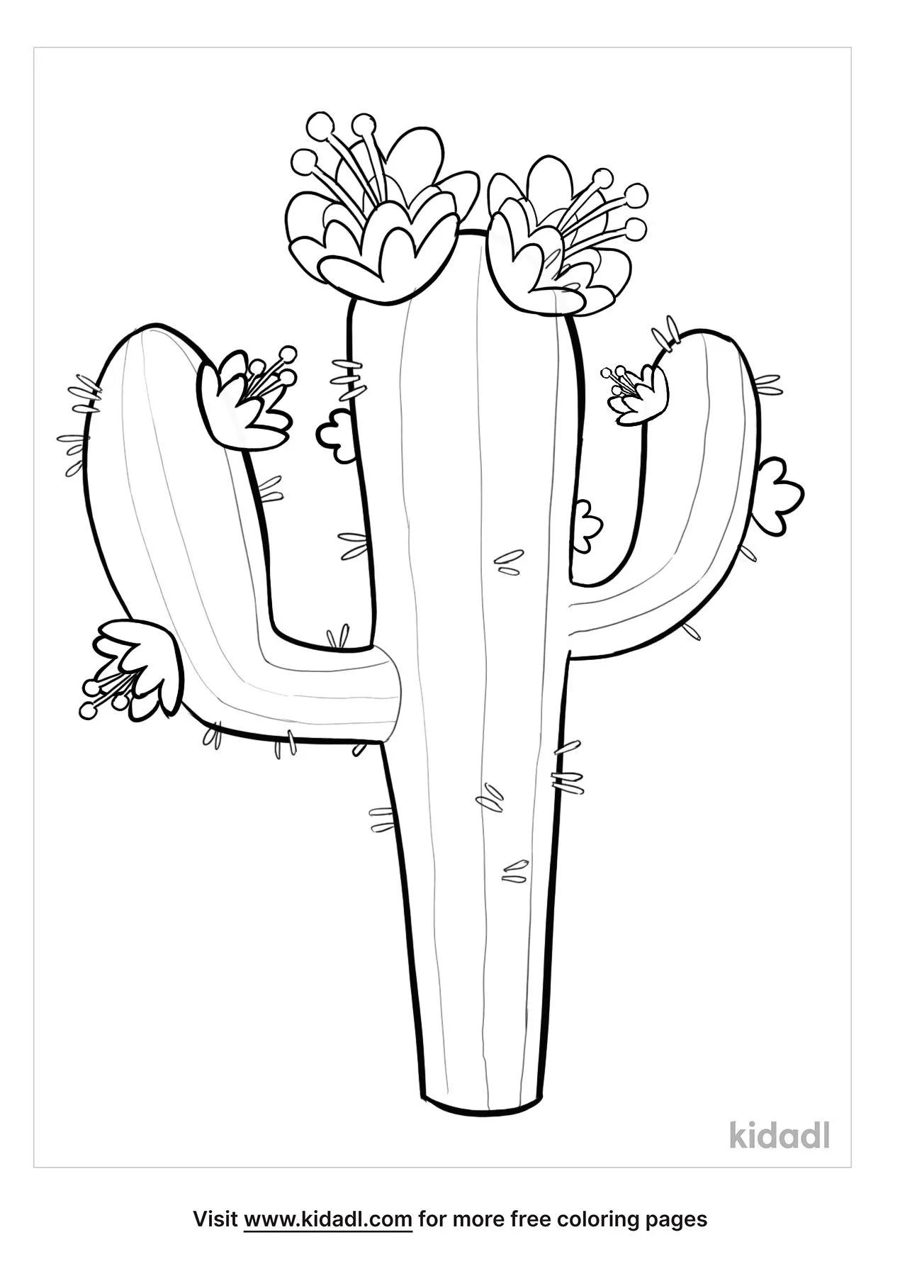 Free tennessee state flower coloring page coloring page printables