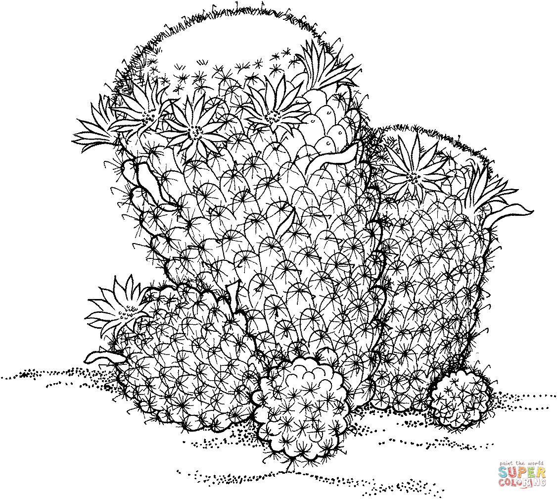 Cactuses coloring page