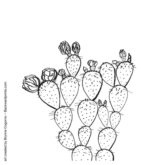 Free coloring page coloring pages free coloring pages cactus art