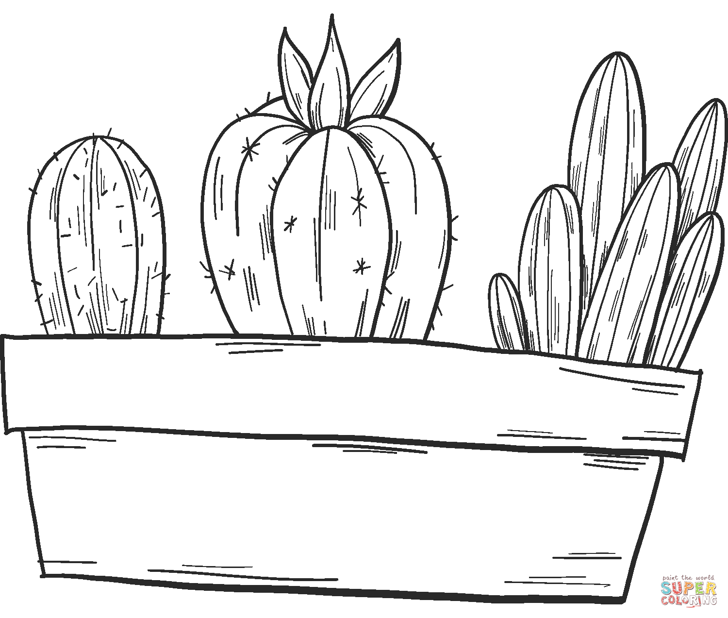 Parodia rutilans or pink ball cactus coloring page