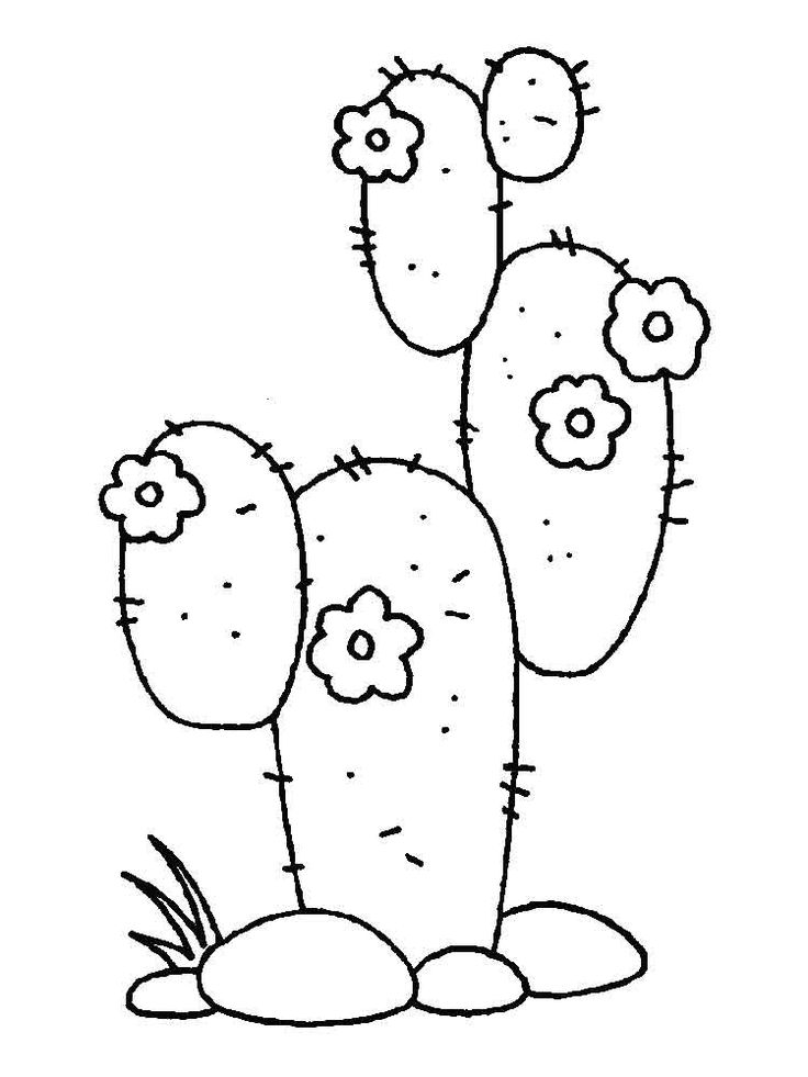 Free printable cactus coloring pages for kids coloring pages coloring pages for boys coloring pages for kids