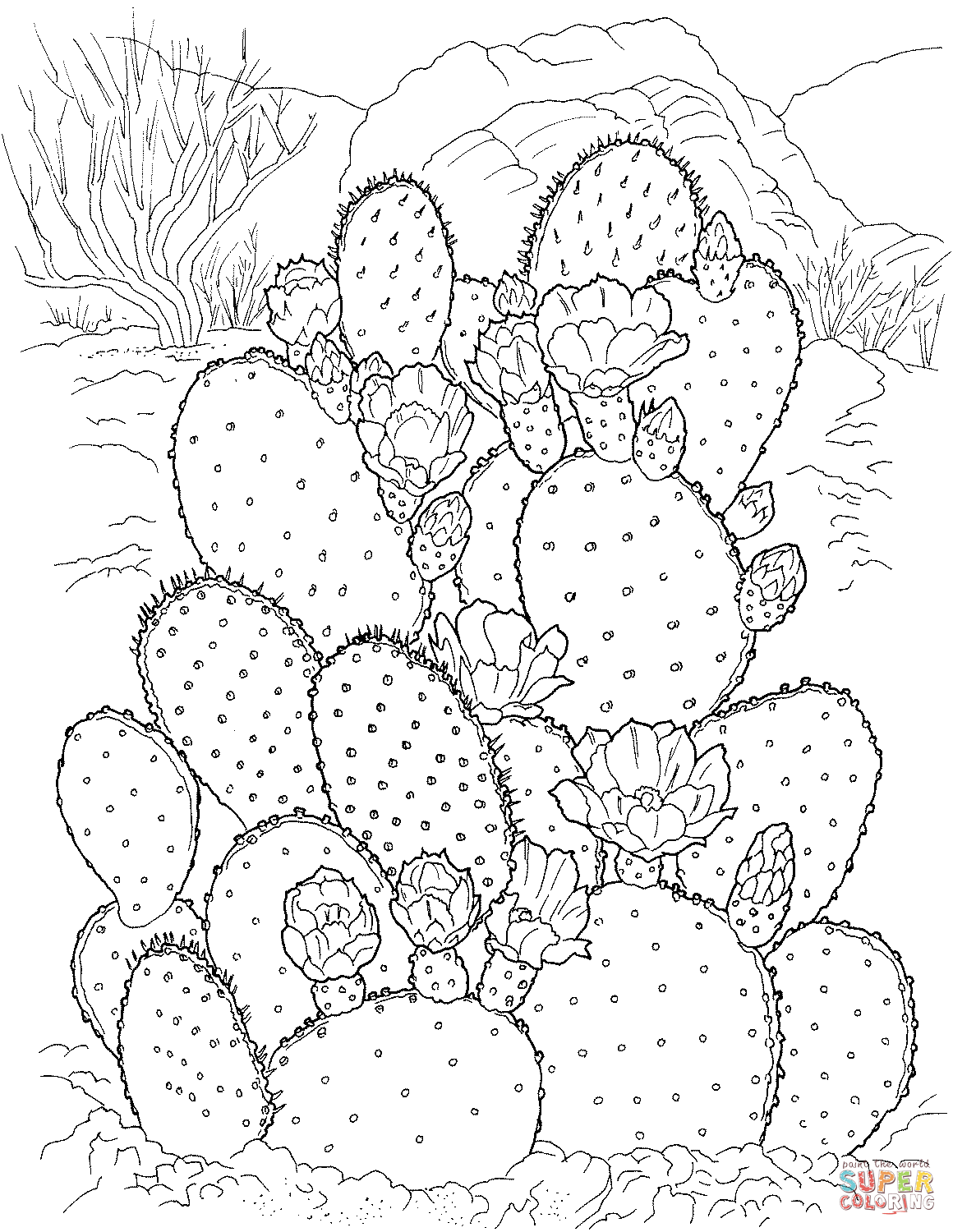 Prickly pear cactus coloring page free printable coloring pages