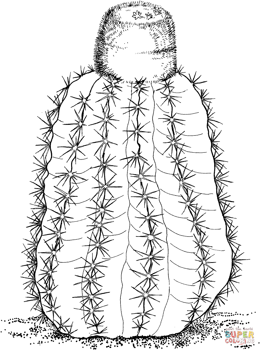 Melocactus intortus or turks cap cactus coloring page