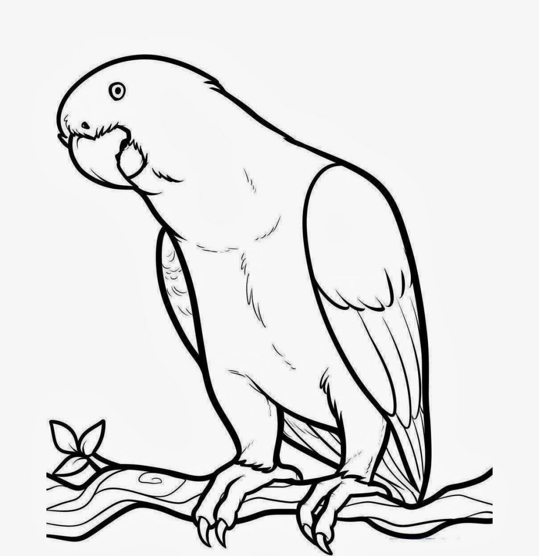 Parrot coloring pages free coloring pages