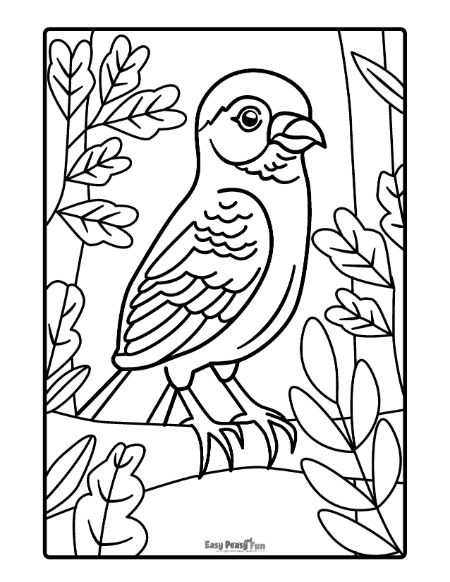 Printable bird coloring pages