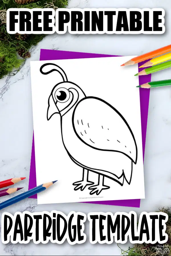 Free printable partridge template â simple mom project