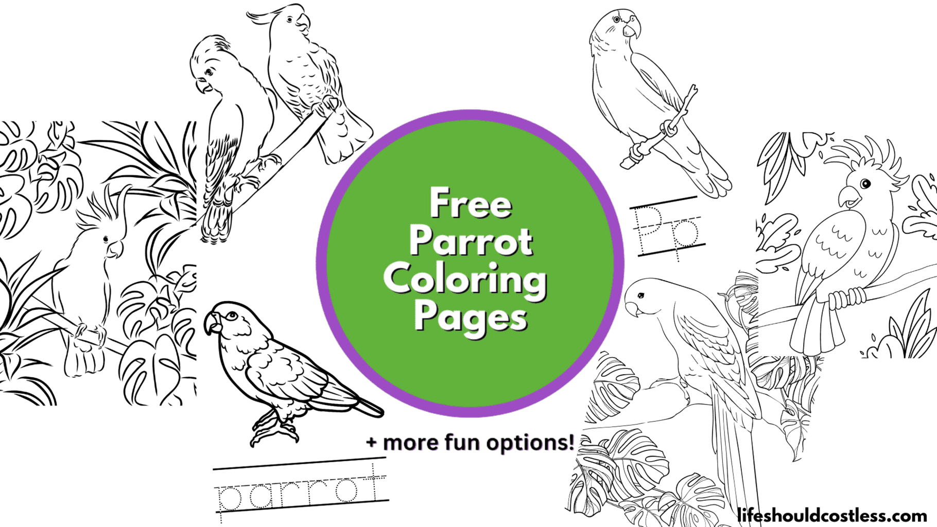 Parrot coloring pages free printable pdf templates