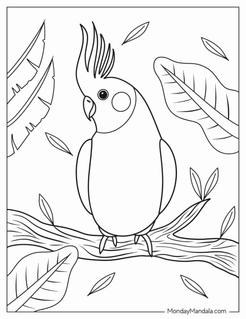 Parrot coloring pages free pdf printables