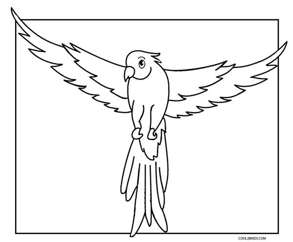 Birds coloring pages coolbkids bird coloring pages coloring pages adult coloring pages