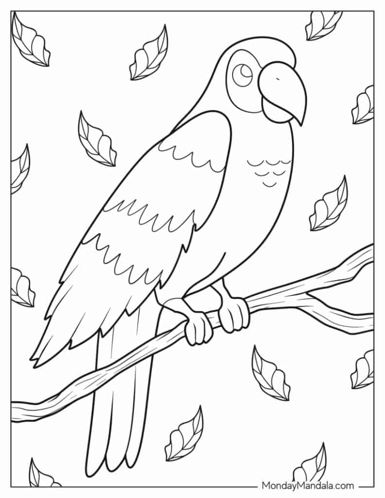 Parrot coloring pages free pdf printables