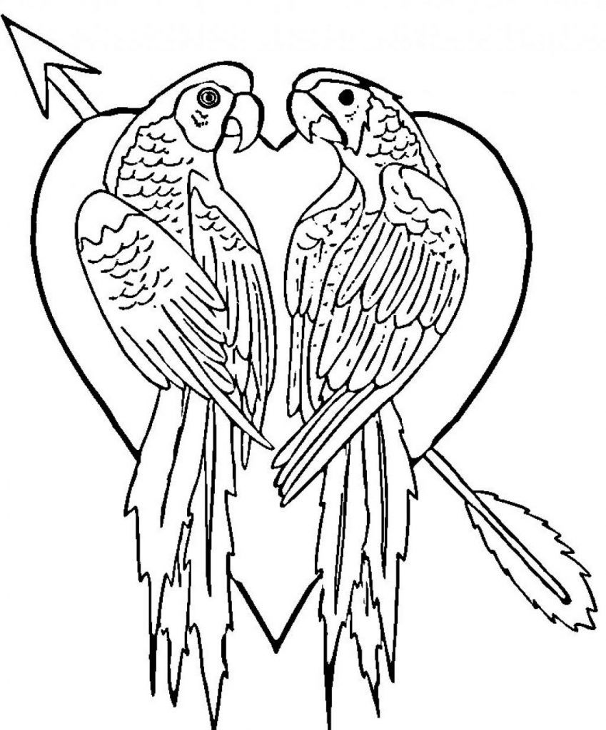 Free printable parrot coloring pages for kids love coloring pages kids printable coloring pages animal coloring pages