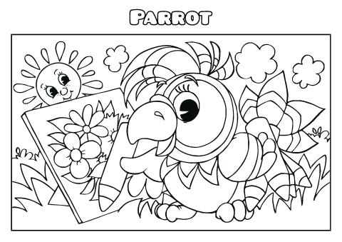 Parrot coloring book template how to make a parrot coloring book