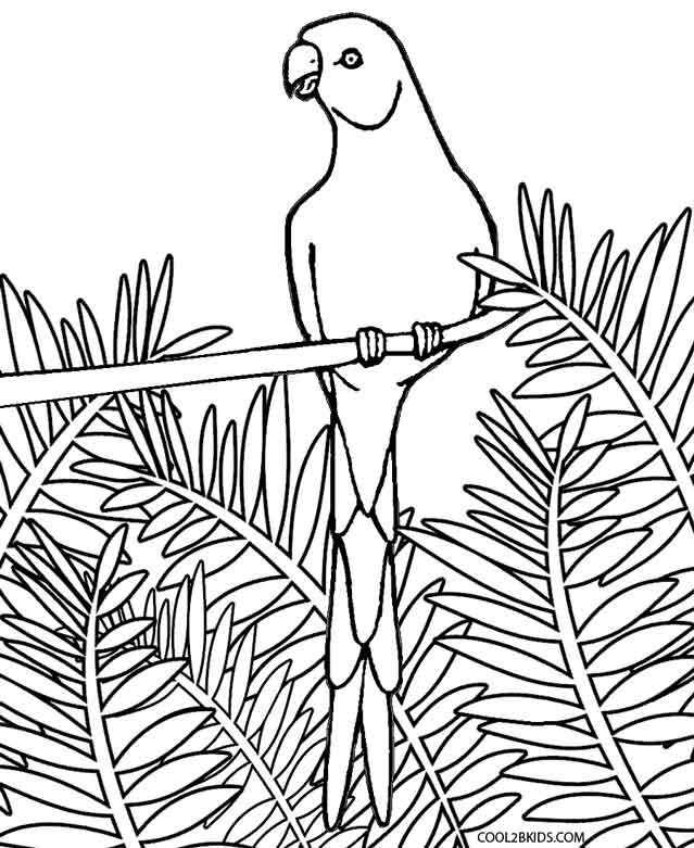 Printable parrot coloring pages for kids coolbkids bird coloring pages coloring pages coloring pages for kids