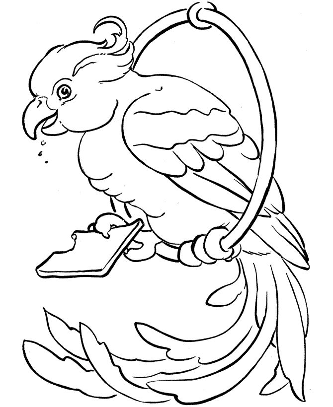 Free printable parrot coloring pages for kids desenhos para colorir adultos desenhos para colorir desenho de animais