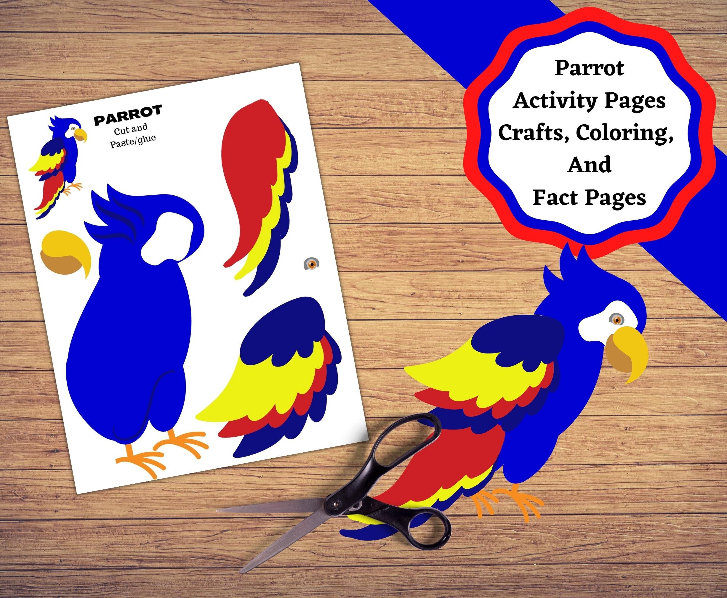 Printable parrot educational crafts and activity pages parrot decor coloring and facts sheet create your own parrot