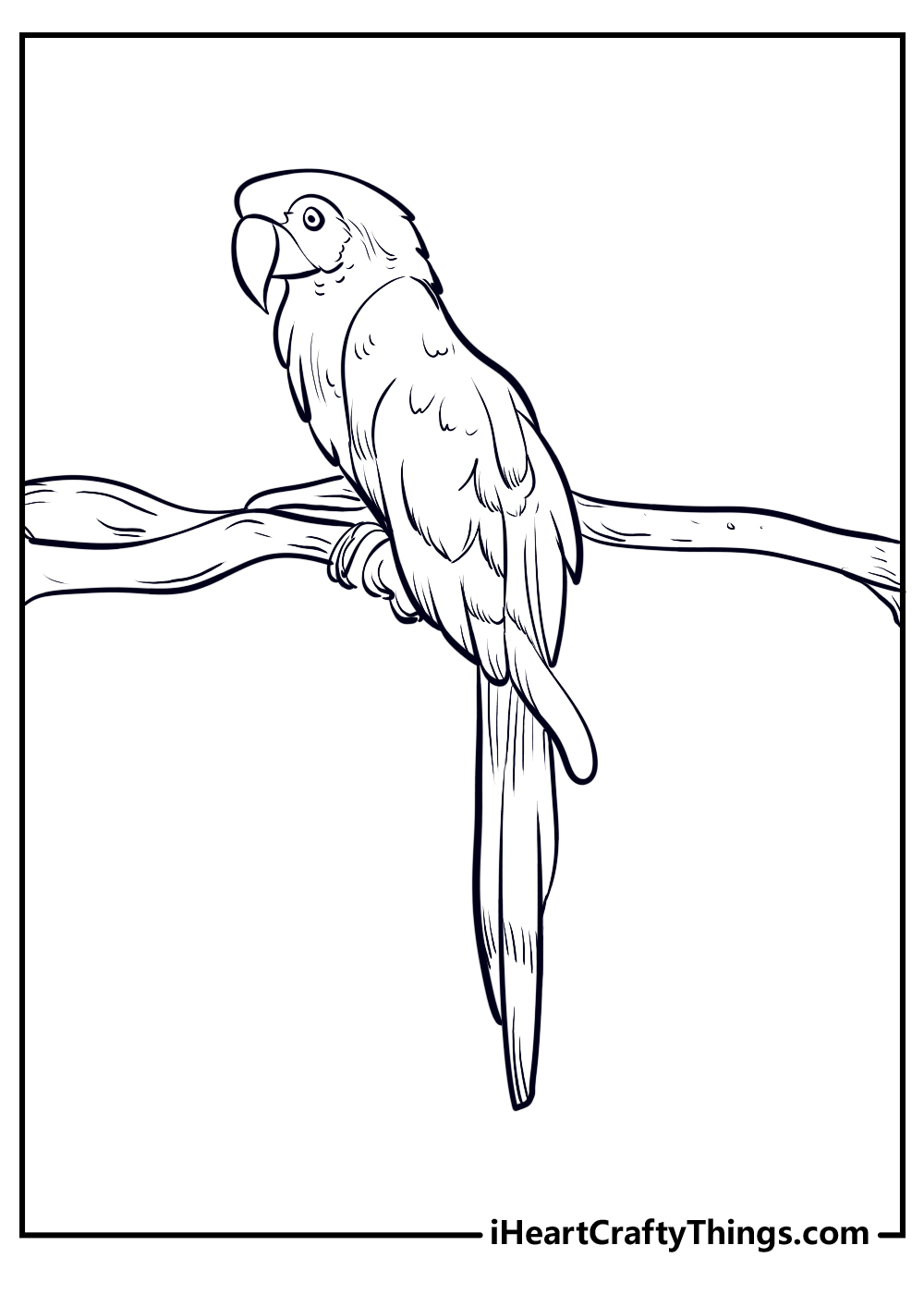 Parrots coloring pages free printables