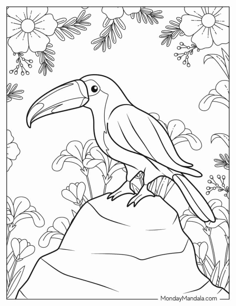 Parrot coloring pages free pdf printables