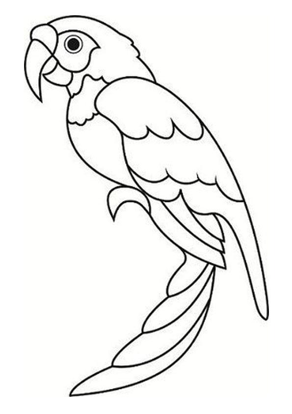 Coloring pages free printable parrot coloring pages