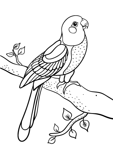 Free parrot coloring page