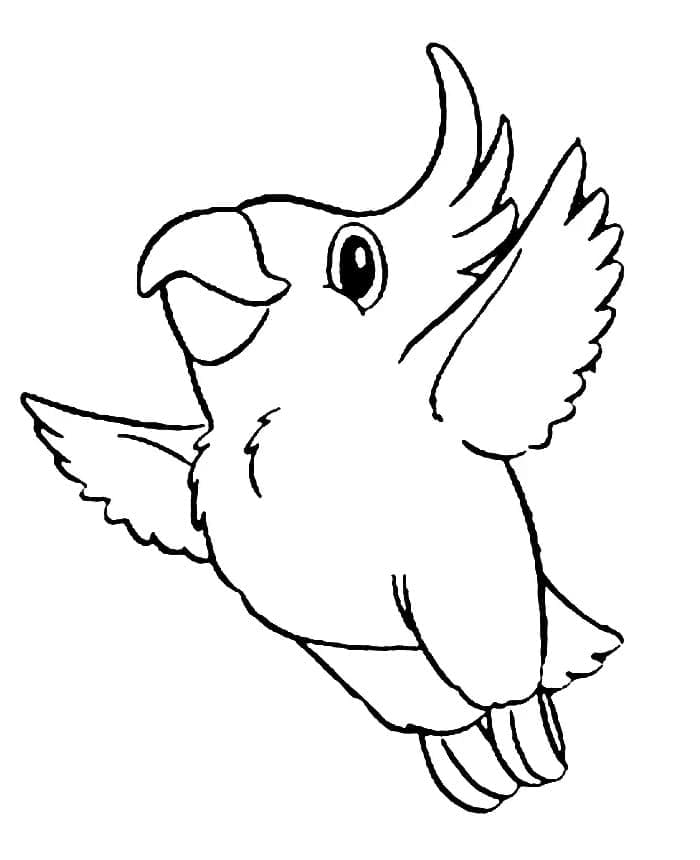 Cute parrot coloring page