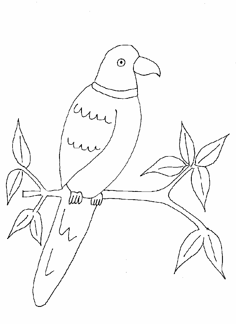 Parrot printable coloring page for kids