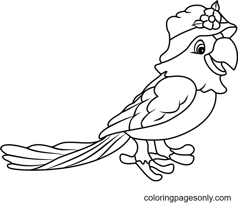 Parrot coloring pages printable for free download