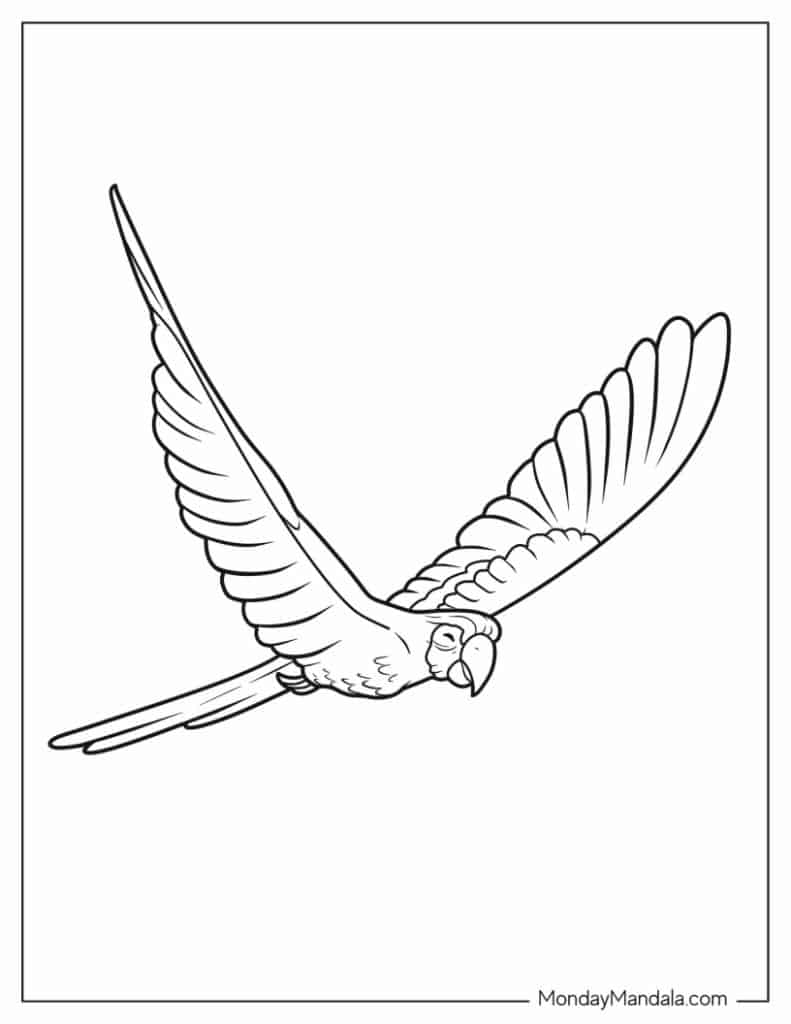 Parrot coloring pages free pdf printables