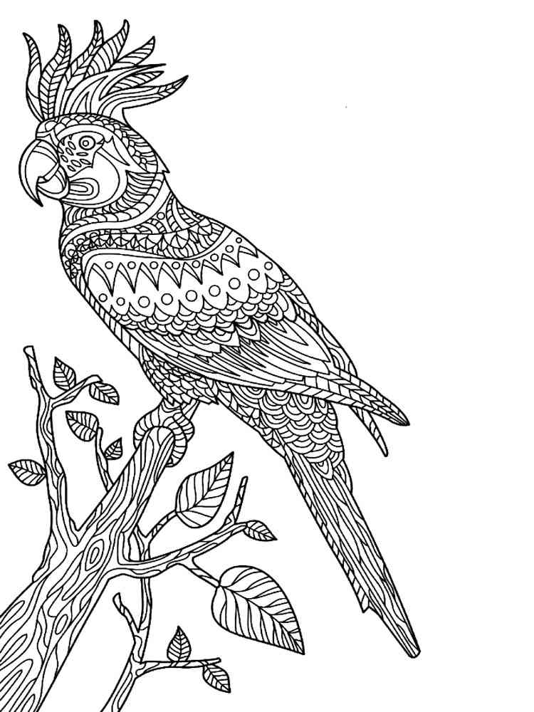 Free printable parrot coloring pages for adults