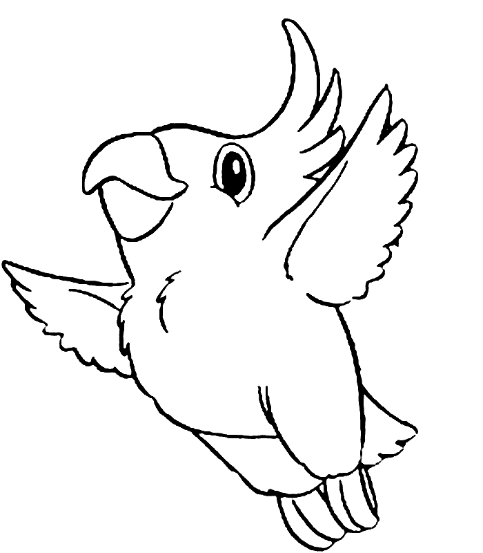 Free printable parrot coloring pages for kids