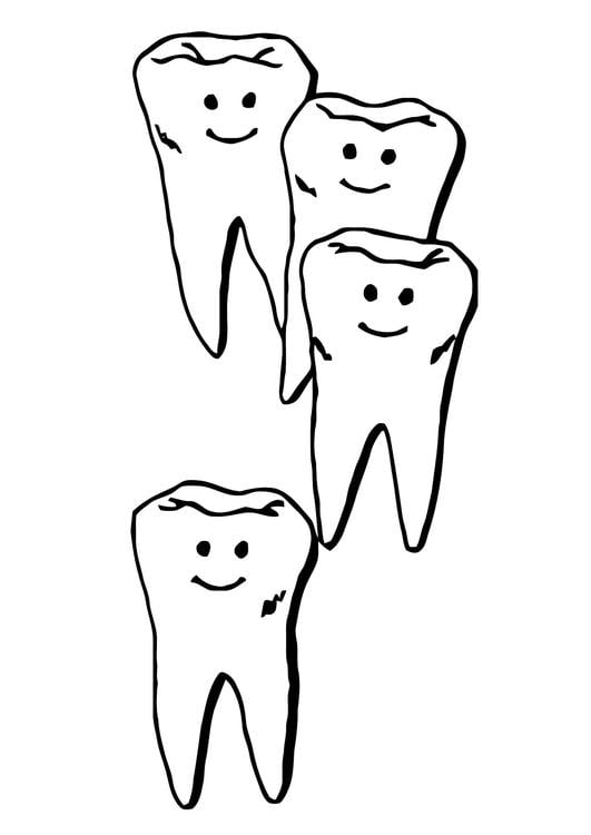 Coloring page teeth