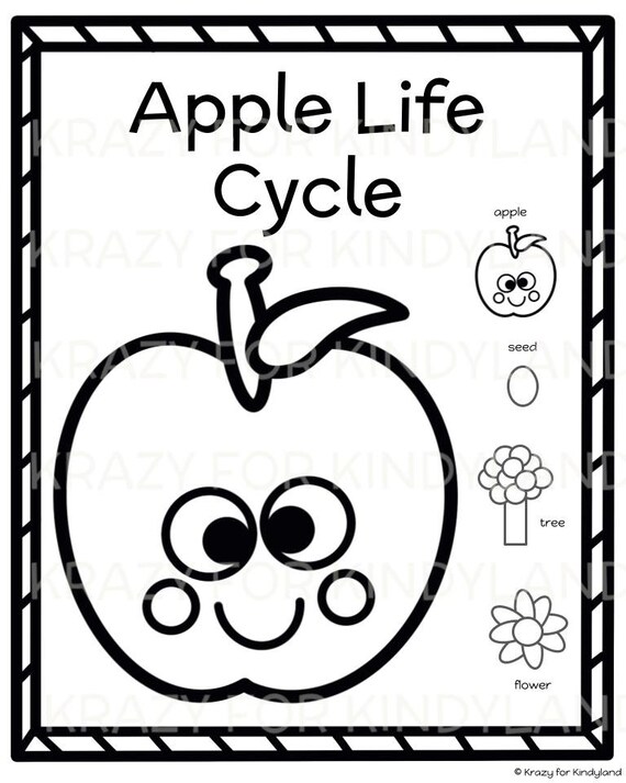 Life cycle coloring pages booklet plant parts garden animals insects spring kids coloring pages coloring book kids coloring sheets