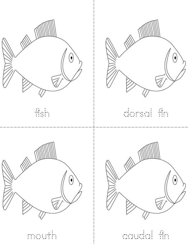 Parts of the fish book