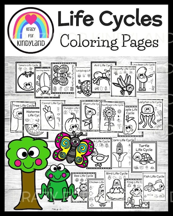 Life cycle coloring pages booklet plant parts garden animals insects spring kids coloring pages coloring book kids coloring sheets