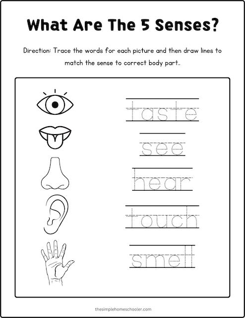 Best senses coloring pages free easy print