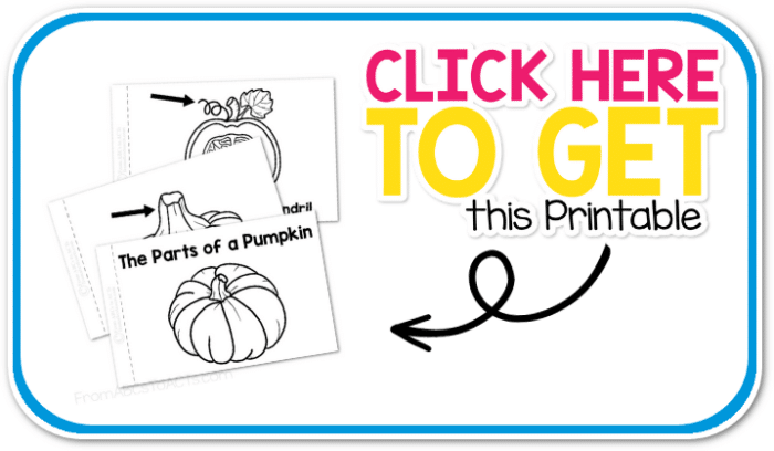 Printable parts of a pumpkin book for kids