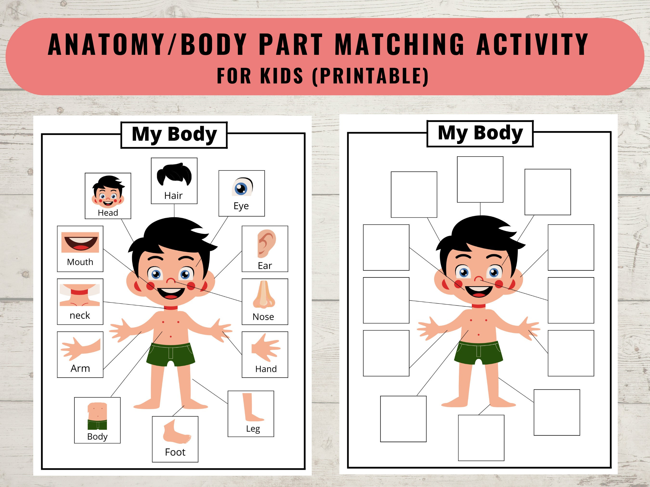 Body parts printable activity for kids human body printable matching game worksheet coloring page homeschool preschool digital download