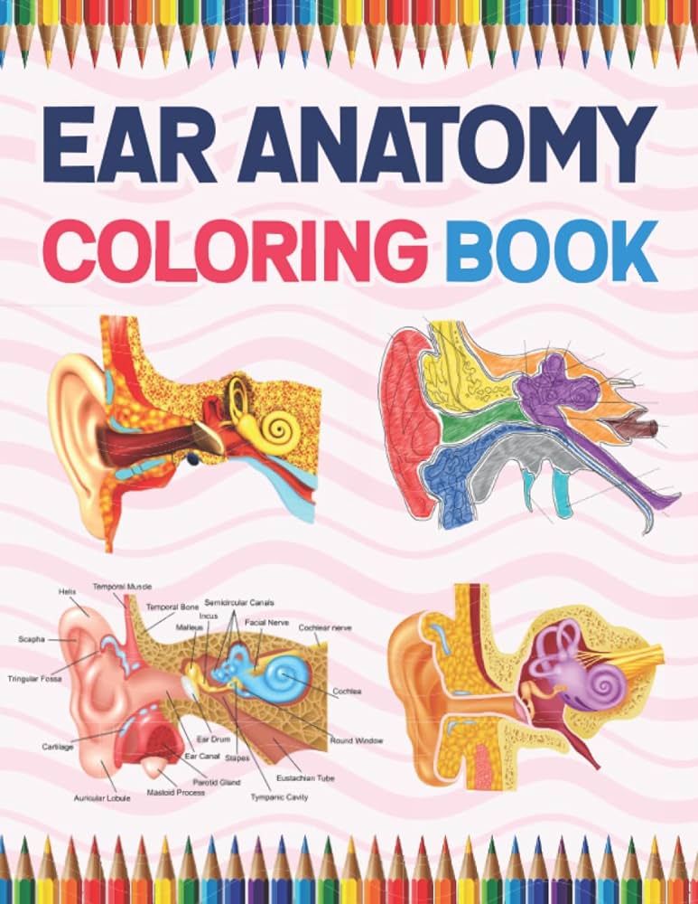 Ear anatomy coloring book incredibly detailed self