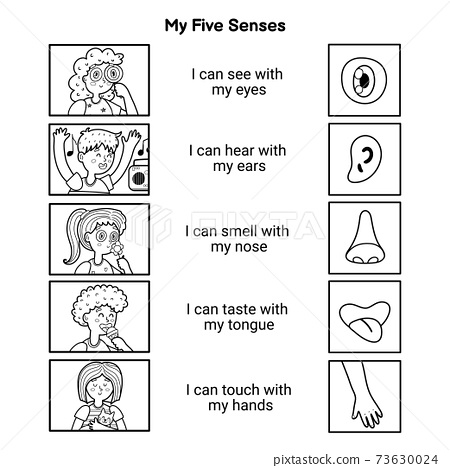My five senses educational black and white
