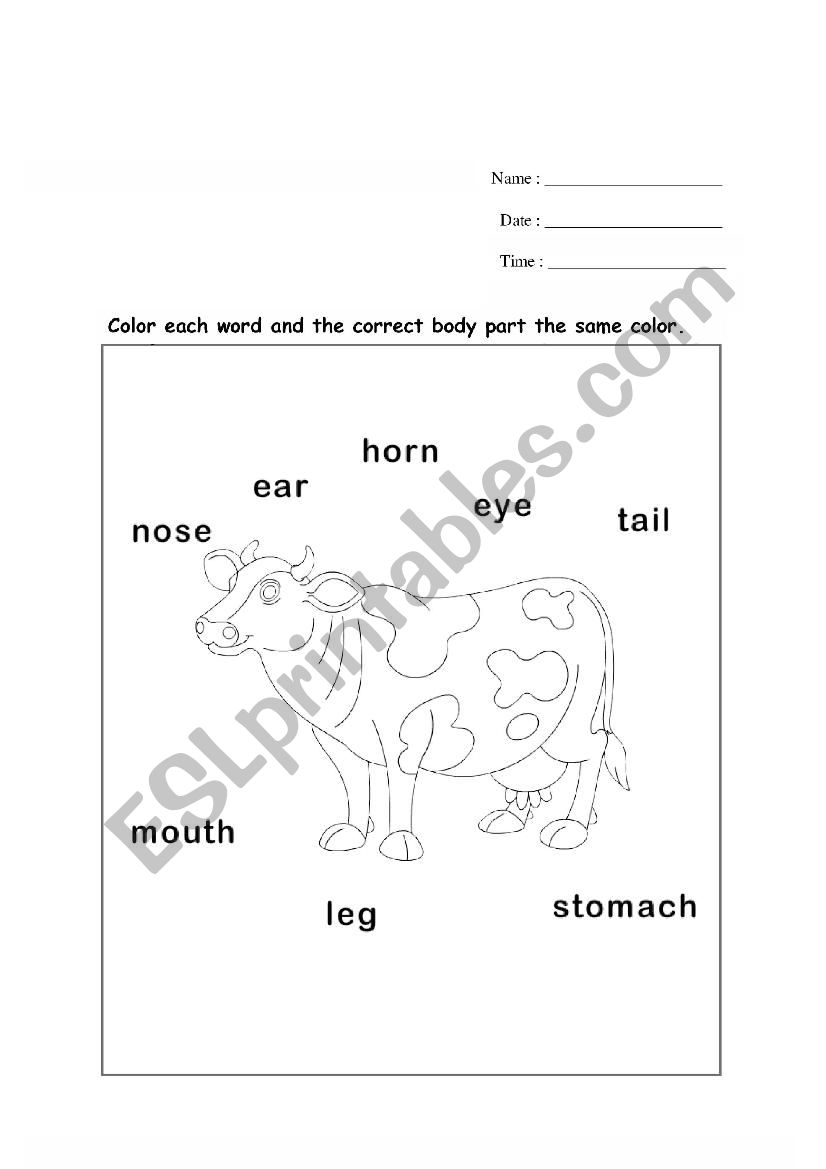 Cow body parts coloring sheet